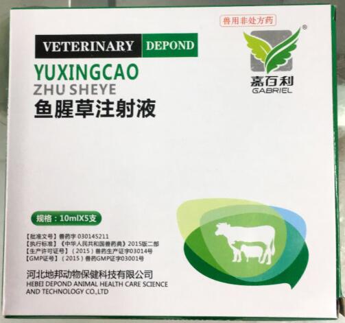 魚(yú)腥草注射液-清熱解毒，消腫排膿,利尿通淋-河北地邦