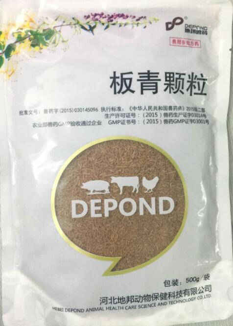 板青顆粒-清熱解毒，涼血。主治風熱感冒，咽喉腫痛，熱病發(fā)斑。-河北地邦