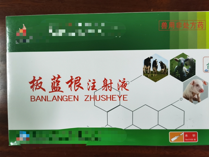 板藍(lán)根注射液--主治家畜流感，仔豬白痢，肺炎等發(fā)熱性疾病