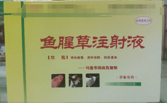 魚腥草注射液，清熱解毒，消腫排濃，利尿通琳，乳房脹痛，排尿不暢等