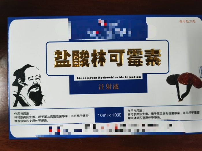 鹽酸林可霉素注射液--用于革蘭氏陽性菌，豬密螺旋體病和支原體等