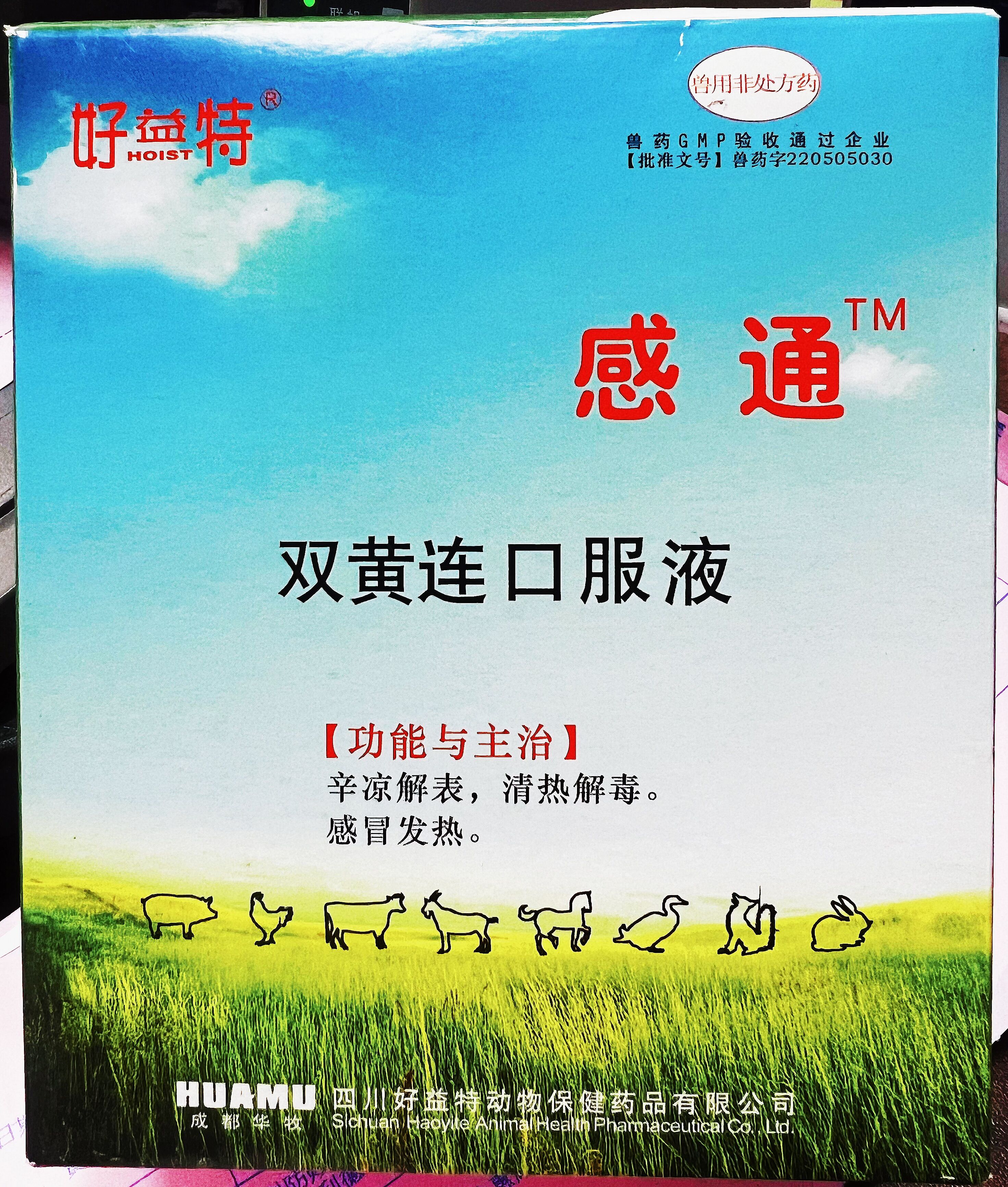雙黃連口服液，辛涼解表，清熱解毒，感冒發(fā)熱，體溫升高，發(fā)熱與惡寒同時并見