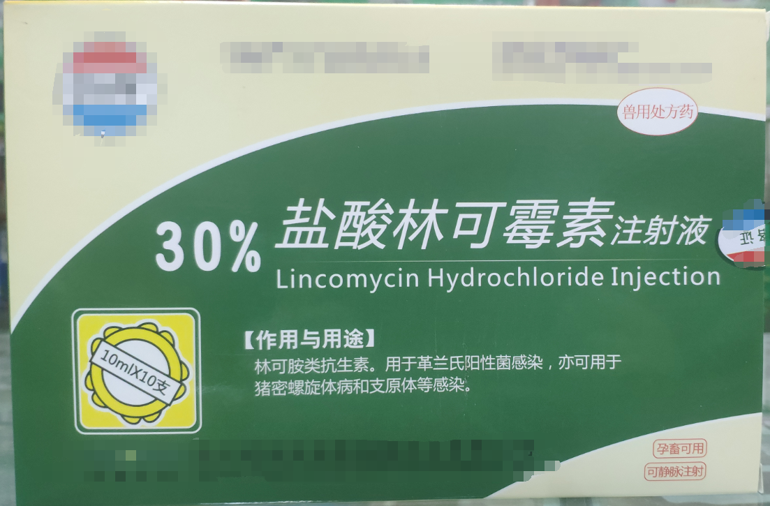 30%林可霉素注射液，用于革蘭氏陽性菌感染，亦用于母蓄的產(chǎn)后消炎，亦可用于豬密螺旋體和支原體感染