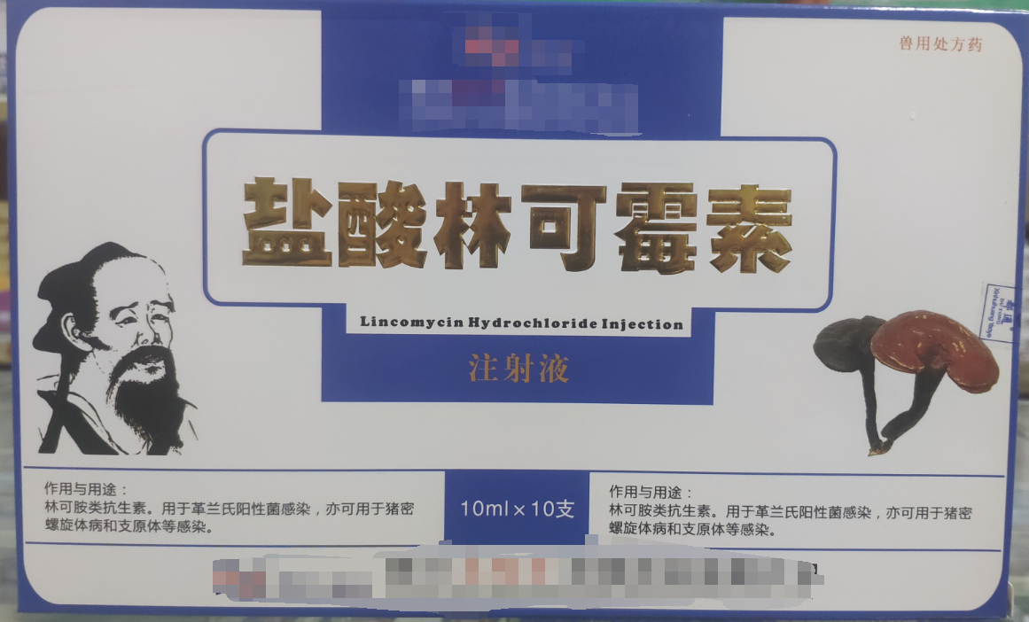 林可霉素注射液，用于革蘭氏陽性菌感染，亦可用于豬密螺旋體和支原體感染