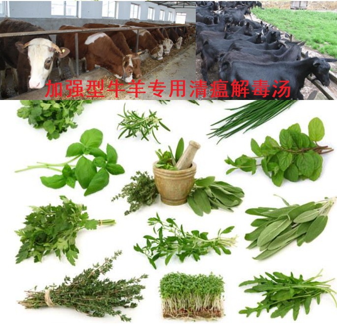 加強(qiáng)型牛羊?qū)Ｓ们逦两舛緶?6味原生中草藥公開(kāi)組方，牛羊養(yǎng)殖場(chǎng)常備無(wú)憂(yōu)