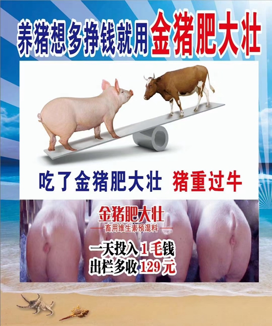 養(yǎng)豬想多掙錢就用金豬肥大壯--1天投入1毛錢，提前出欄13天，多長20斤，就是牛