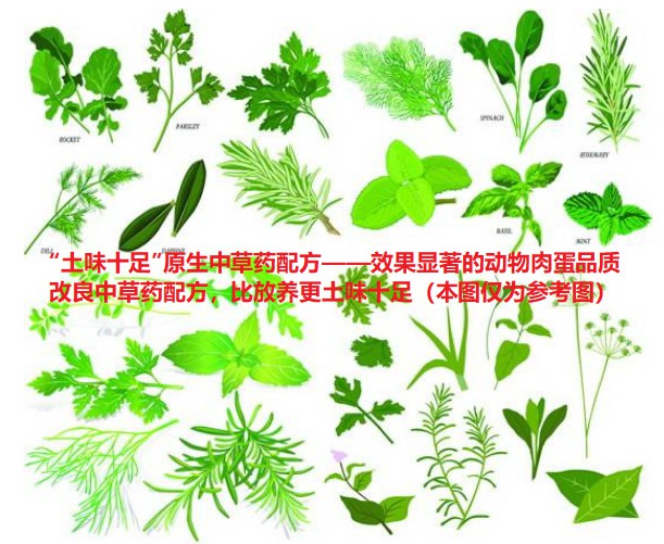 “土味十足”原生中草藥配方——效果顯著的動(dòng)物肉蛋品質(zhì)改良中草藥配方，比放養(yǎng)更土味十足