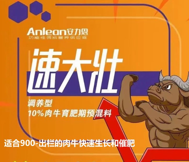 安力恩——速達(dá)壯調(diào)養(yǎng)型10%肉牛育成期預(yù)混料-適合900-出欄的肉牛快速生長和催肥