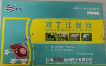 雙丁注射液——清熱解毒、抗菌消炎、消腫排膿、利尿通淋