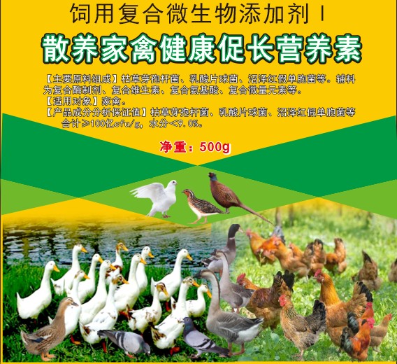 散養(yǎng)家禽健康促長(zhǎng)營(yíng)養(yǎng)素，散養(yǎng)土雞土鴨促長(zhǎng)營(yíng)養(yǎng)素，散養(yǎng)土蛋雞增產(chǎn)保健營(yíng)養(yǎng)素