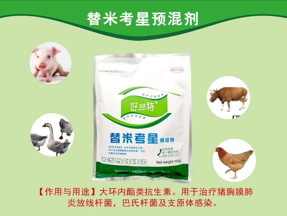替米考星粉，呼吸道病更好的抗生素，主要防治家畜肺炎(由胸膜肺炎放線桿菌、巴氏桿菌、支原體等感染引起)、禽支原體病及泌乳動物的乳腺炎。