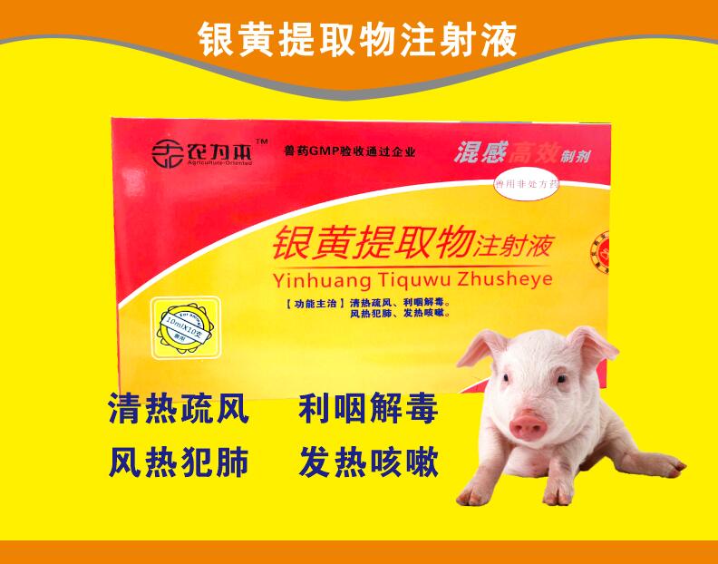 銀黃提取物注射液--混感高效，清熱疏風(fēng)，利咽解毒，風(fēng)熱范肺，發(fā)熱咳嗽。