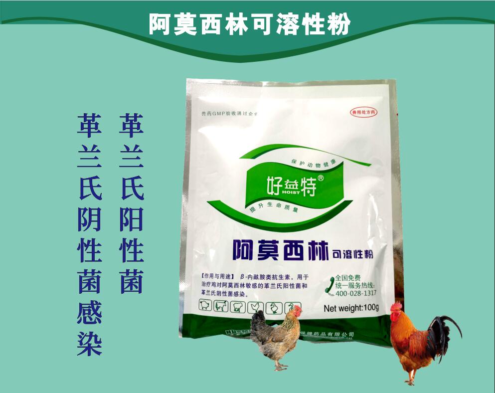阿莫西林粉，治療動物革蘭氏陽性菌和革蘭氏陰性菌感染