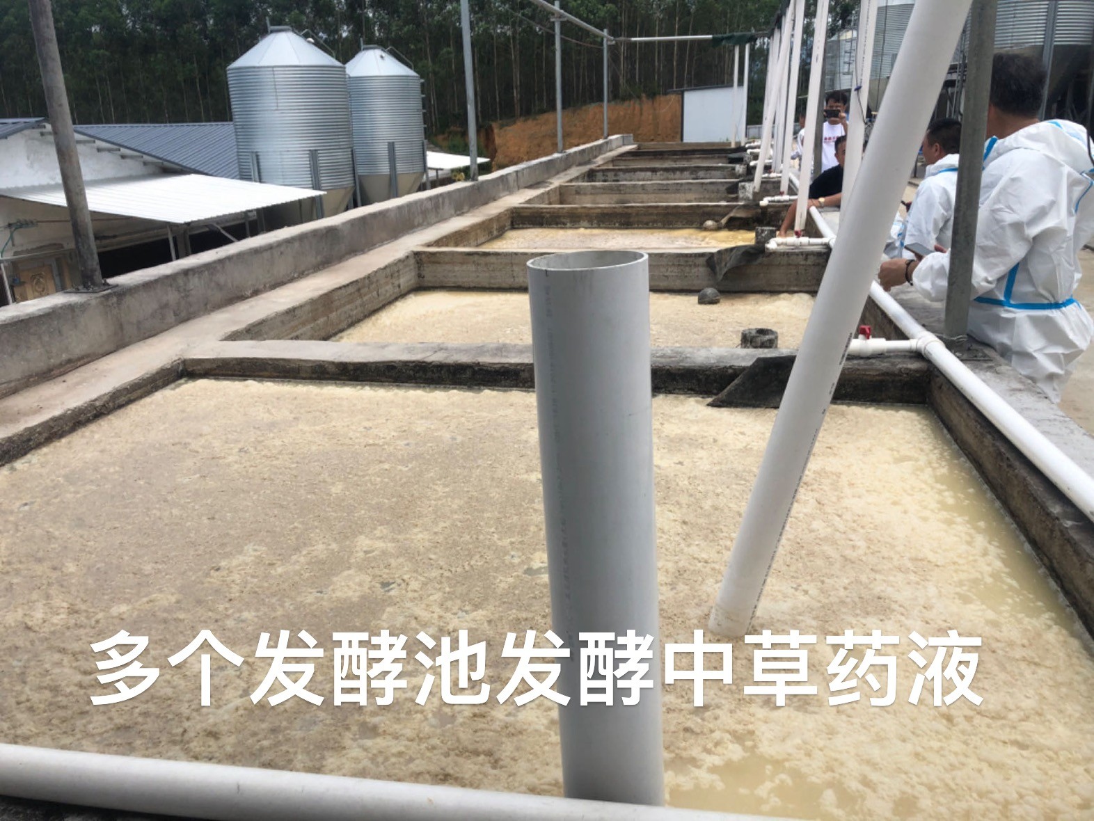 微信圖片_20241111151430.jpg
