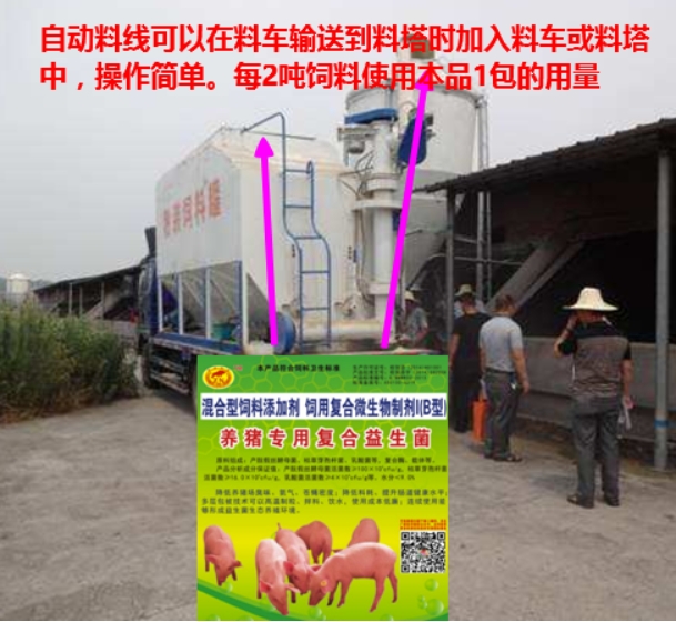 微信截圖_20250113154856.jpg