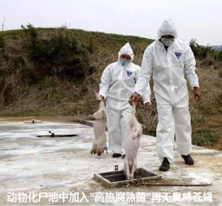 微信圖片_20250113170721.jpg