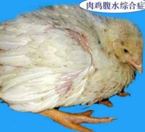 QQ圖片20250116100405.png