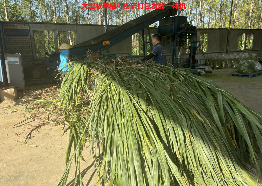 發(fā)酵牧草（粉碎機）.png