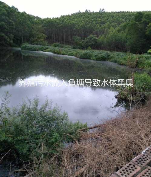 微信截圖_20250218105228.jpg