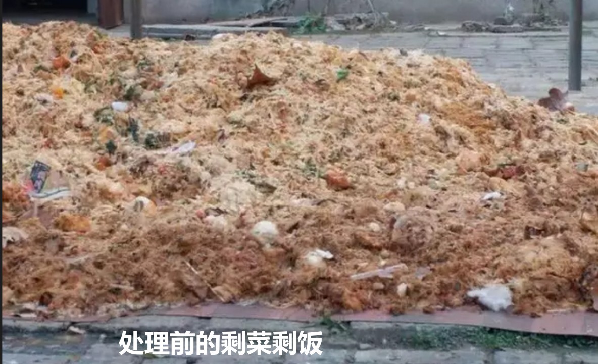 處理前的剩菜剩飯.jpg