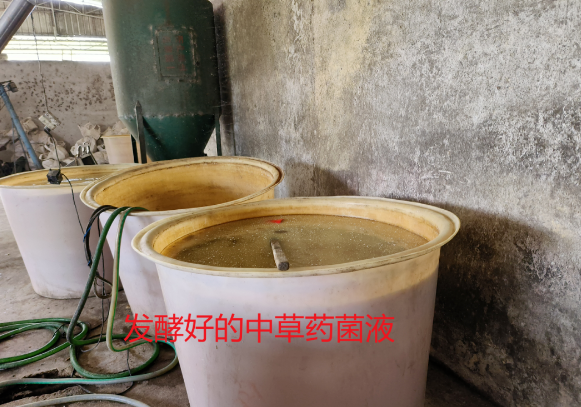 QQ圖片20250305125016.png