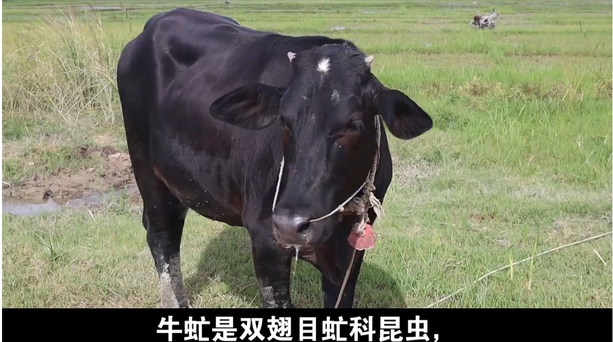 屏幕截圖_9-4-2025_21551_image.baidu.com.jpeg