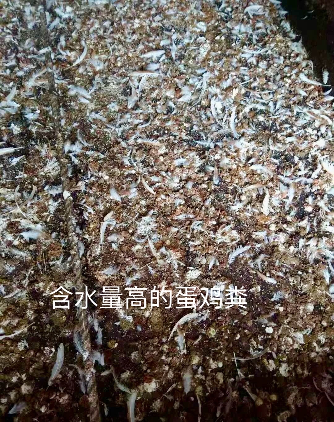 微信圖片_20250506210729.jpg