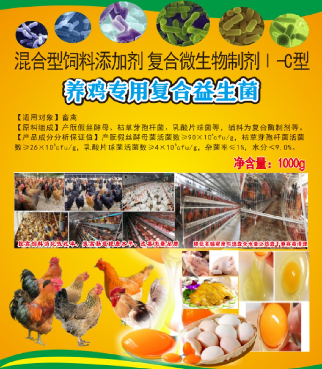 養(yǎng)雞專用復合益生菌.jpg