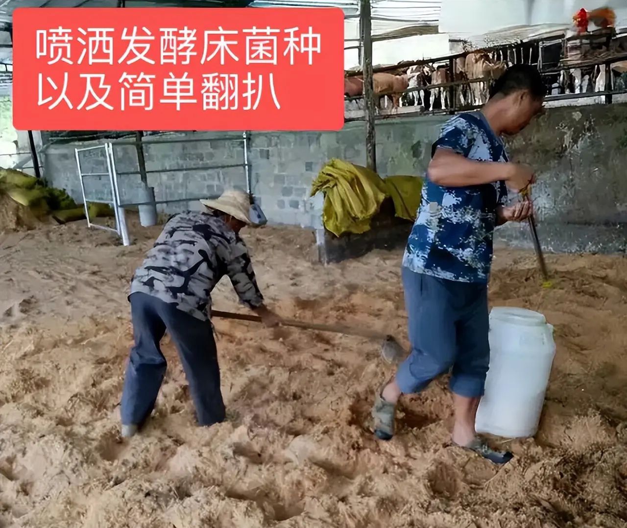 QQ圖片20250606160021.jpg