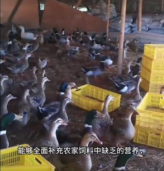 截圖20250630154008.png
