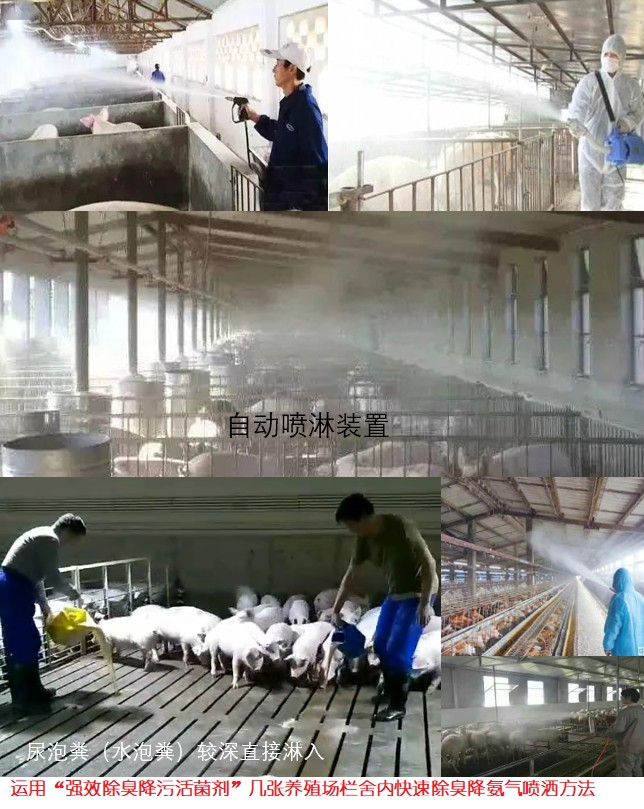 QQ圖片20250225112319.png