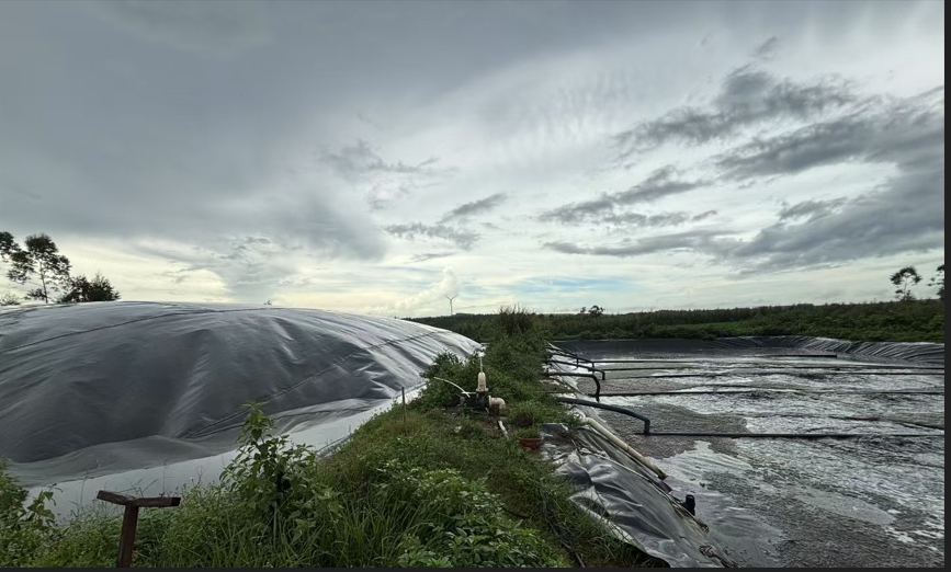 e585cea30dff812a86d294f18af3909.png