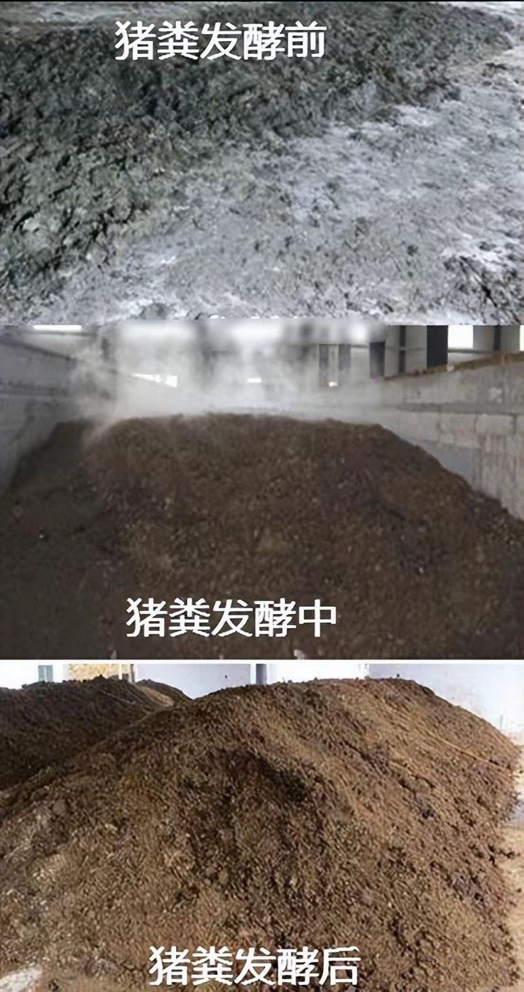 微信圖片_20250716100552.jpg