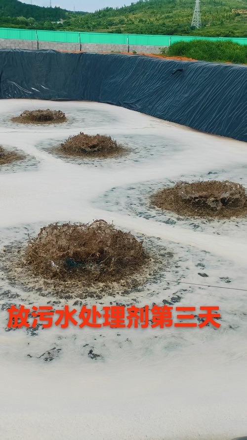 微信圖片_20250722212929.jpg