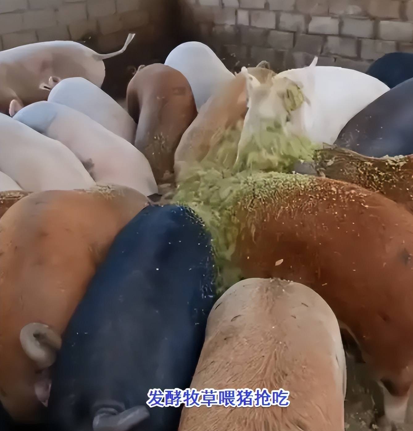 微信圖片_20250723095214.jpg