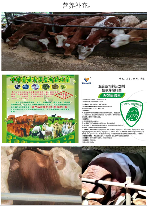微信圖片_20230926152101.png