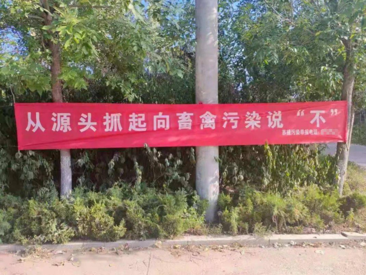 畜禽養(yǎng)殖污染治理.jpg