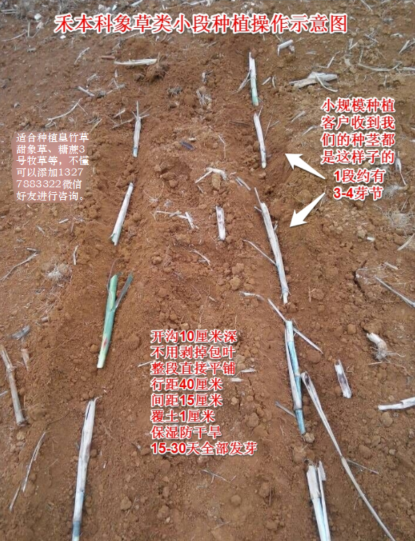 1633764273345631.png