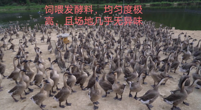 QQ圖片20250807161430.png