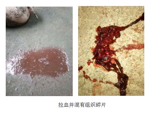 微信圖片_20250820090726.jpg