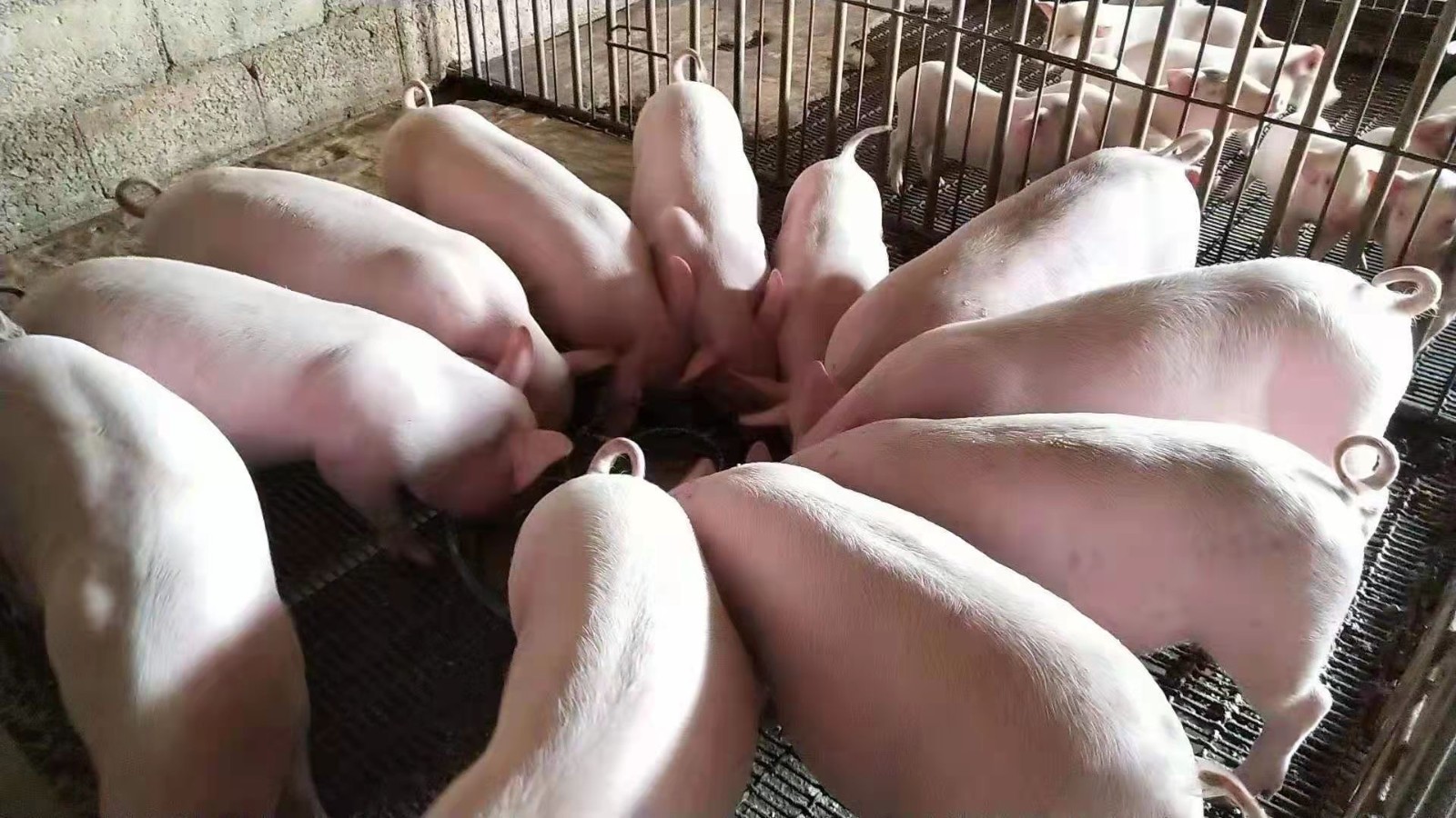 微信圖片_20250827102719.jpg