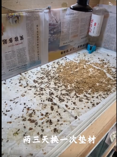 截圖20250828102819.png