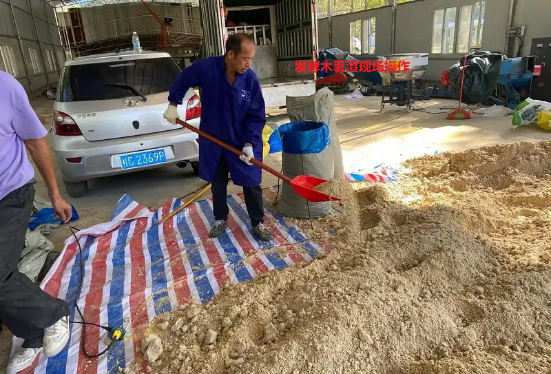 木薯渣12.png