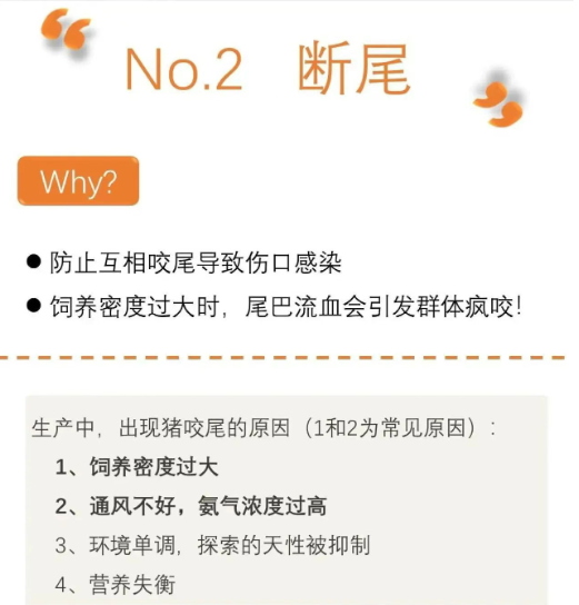截圖20250903091731.png