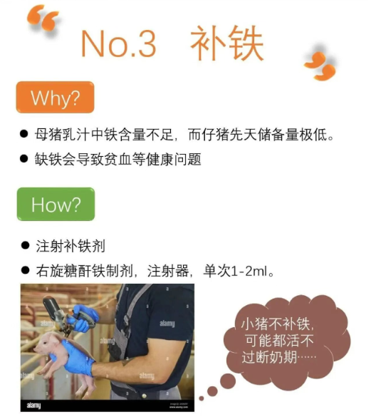 截圖20250903091747.png