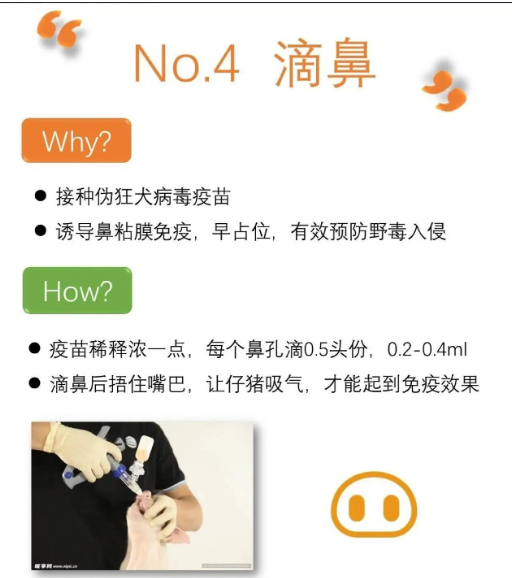 截圖20250903091804.png