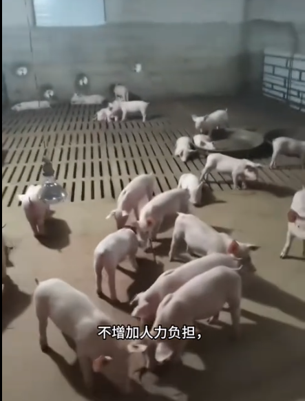 截圖20250911092509.png