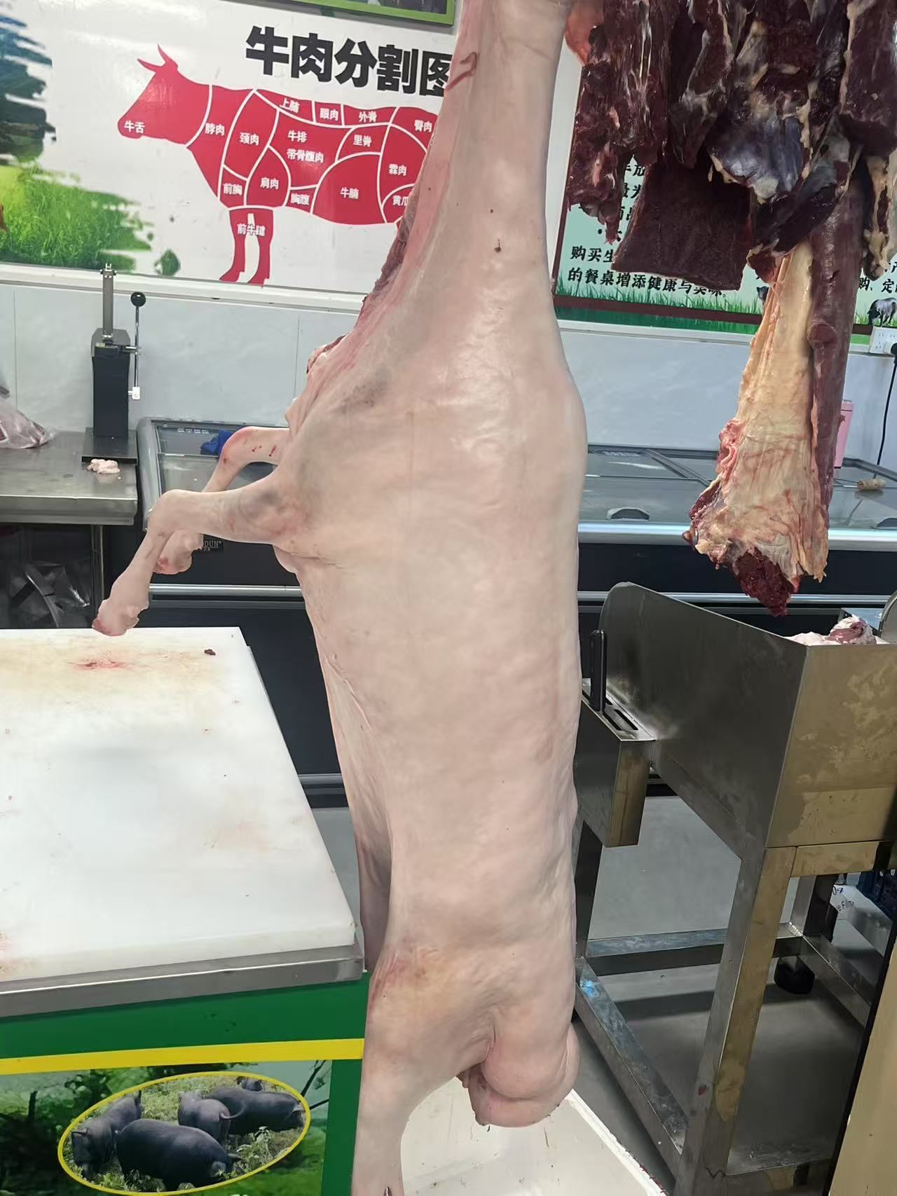 生態(tài)羊肉.jpg