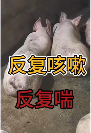 截圖20250919162158.png