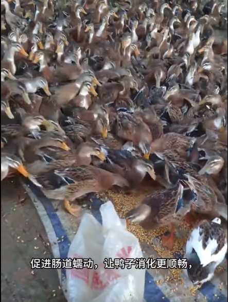 截圖20250924092908.png
